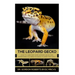 The Leopard Gecko: How to care for your Leopard Gecko and everything you need to know to keep them well.