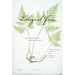 Ecological Form: System and Aesthetics in the Age of Empire