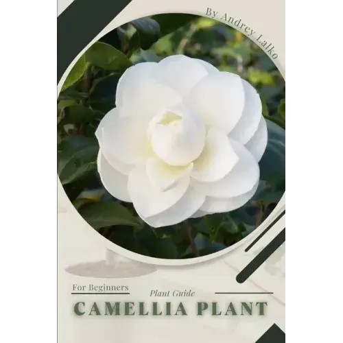 Camellia Plant: Plant Guide