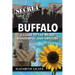 Secret Buffalo: A Guide to the Weird, Wonderful, and Obscure