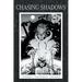 Chasing Shadows