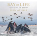 Bay of Life: From Wind to Whales