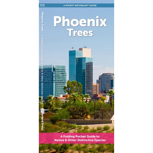 Phoenix Trees
