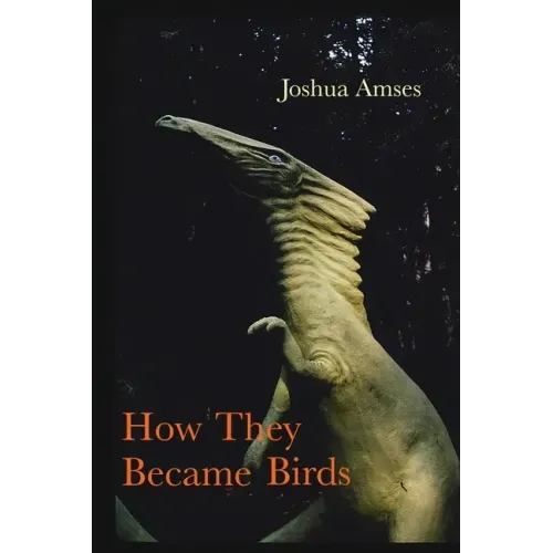 How They Became Birds - Paperback