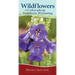 Wildflowers of Colorado & Southern Wyoming: Your Way to Easily Identify Wildflowers