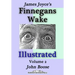 James Joyce's Finnegans Wake Illustrated: Volume 2
