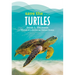 Save the...Turtles