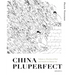 China Pluperfect: Volume 2--Practices of Past and Outside in Chinese Art