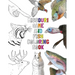 Missouri Game and Fish Coloring Book