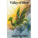 Valley of Silver