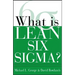 What Is Lean Six SIGMA