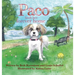 Paco Finds Her Forever Home