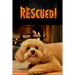 Rescued!