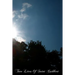 Two Lives Of Saint Cuthbert: A Life By An Anonymous Monk Of Lindisfarne And Bede's Prose Life