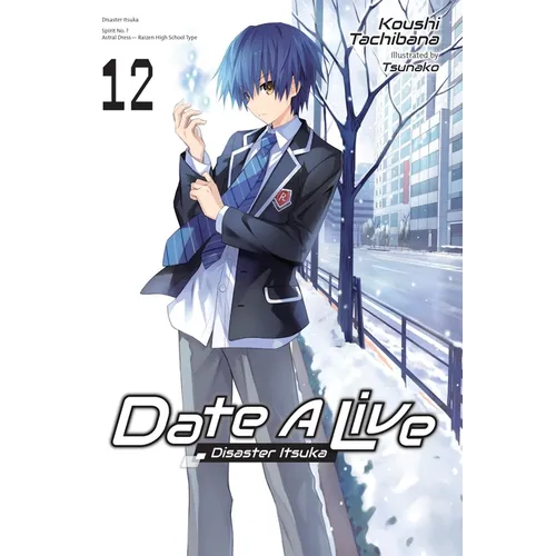 Date a Live, Vol. 12 (Light Novel): Disaster Itsuka