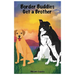 Border Buddies Get a Brother