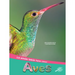 Aves: Birds