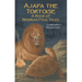 Ajapa the Tortoise: A Book of Nigerian Folk Tales