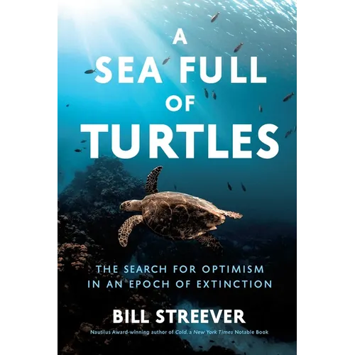 A Sea Full of Turtles: The Search for Optimism in an Epoch of Extinction
