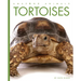 Tortoises