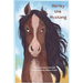 Marley the Mustang