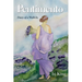 Pentimento: Diary of a Walk-In