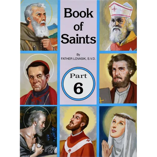 Book of Saints (Part 6): Super-Heroes of God Volume 6 - Paperback
