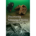 Discovering Submerged Stories: A Personal Dive into Britain's History