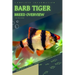 Barb Tiger: From Novice to Expert. Comprehensive Aquarium Fish Guide