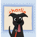 My Best Friend Charlie