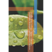 Tropical Water Security: Climate Challenges, Sustainable Strategies, and Ecosystem Solutions
