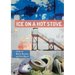 Ice on a Hot Stove:: A Decade of Converse MFA Poetry