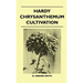 Hardy Chrysanthemum Cultivation