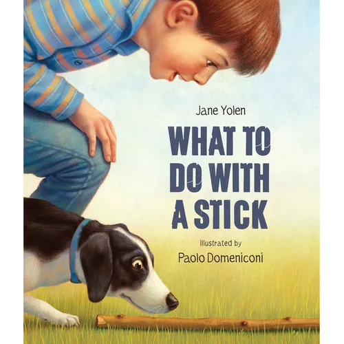What to Do with a Stick