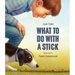 What to Do with a Stick