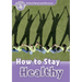Read and Discover Level 4 How to Stay Healthy