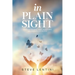 In Plain Sight: Learn to See What Most People Miss and Embrace Life as it Is!