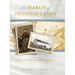 In Search of Promised Lands: A Religious History of Mennonites in Ontario