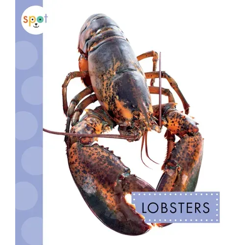 Lobsters