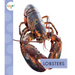 Lobsters