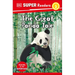 DK Super Readers Level 2 the Great Panda Tale