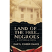 Land of the Free... Negroes: A Historical Novel