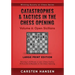Catastrophes & Tactics in the Chess Opening - Volume 6: Open Sicilians - Large Print Edition: Winning in 15 Moves or Less: Chess Tactics, Brilliancies