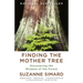 Finding the Mother Tree: Discovering the Wisdom of the Forest