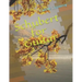 Schubert for Guitar
