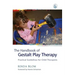 The Handbook of Gestalt Play Therapy: Practical Guidelines for Child Therapists