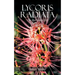 Lycoris Radiata: The Red Spider Lily
