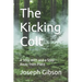 The Kicking Colt: A Step with and a Step Away from Plato