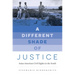 A Different Shade of Justice: Asian Americans Civil Rights in the South