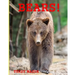 Bears: Childrens Book About Bears -Learn about Bears Behaviour and enjoy Many Great Pictures